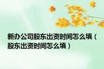 新办公司股东出资时间怎么填（股东出资时间怎么填）