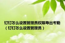 钉钉怎么设置管理员权限导出考勤（钉钉怎么设置管理员）