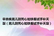 辛弃疾男儿到死心如铁看试手补天裂（男儿到死心如铁看试手补天裂）