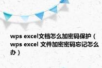 wps excel文档怎么加密码保护（wps excel 文件加密密码忘记怎么办）