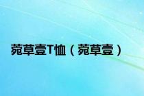 菀草壹T恤（菀草壹）
