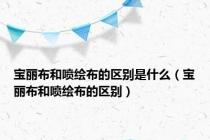 宝丽布和喷绘布的区别是什么（宝丽布和喷绘布的区别）