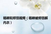 杨颖和郑恺视频（杨颖被郑恺解内衣）