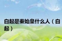 白起是秦始皇什么人（白起）