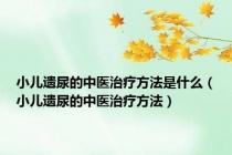 小儿遗尿的中医治疗方法是什么（小儿遗尿的中医治疗方法）