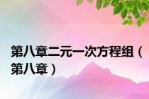 第八章二元一次方程组（第八章）