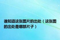 谁知道这张图片的出处（这张图的出处是哪部片子）