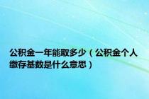公积金一年能取多少（公积金个人缴存基数是什么意思）