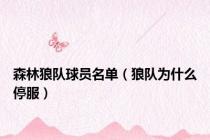 森林狼队球员名单（狼队为什么停服）