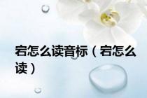 宕怎么读音标（宕怎么读）