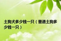 土狗犬多少钱一只（普通土狗多少钱一只）