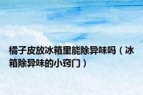 橘子皮放冰箱里能除异味吗（冰箱除异味的小窍门）
