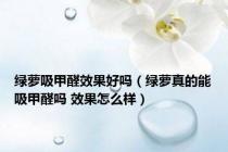 绿萝吸甲醛效果好吗（绿萝真的能吸甲醛吗 效果怎么样）