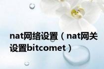 nat网络设置（nat网关设置bitcomet）
