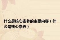 什么是核心素养的主要内容（什么是核心素养）