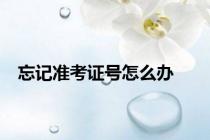 忘记准考证号怎么办