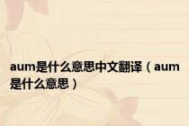 aum是什么意思中文翻译（aum是什么意思）