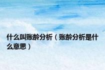 什么叫账龄分析（账龄分析是什么意思）