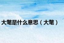 大氅是什么意思（大氅）