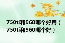 750ti和960哪个好用（750ti和960哪个好）