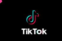 TikTok为智能手机推出新的搜索小部件