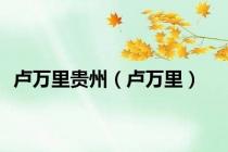 卢万里贵州（卢万里）