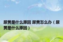 尿黄是什么原因 尿黄怎么办（尿黄是什么原因）