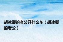 胡冰卿的老公开什么车（胡冰卿的老公）