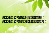 员工违反公司规章制度辞退流程（员工违反公司制度被辞退要赔偿吗）