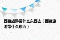 西藏旅游带什么东西去（西藏旅游带什么东西）