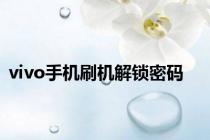 vivo手机刷机解锁密码