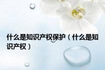 什么是知识产权保护（什么是知识产权）