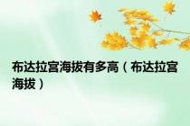 布达拉宫海拔有多高（布达拉宫海拔）