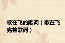 歌在飞的歌词（歌在飞完整歌词）