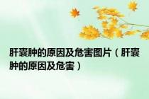 肝囊肿的原因及危害图片（肝囊肿的原因及危害）