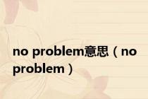 no problem意思（no problem）
