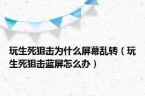 玩生死狙击为什么屏幕乱转（玩生死狙击蓝屏怎么办）