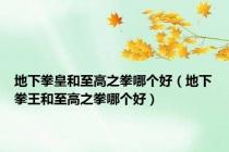 地下拳皇和至高之拳哪个好（地下拳王和至高之拳哪个好）