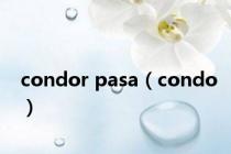 condor pasa（condo）