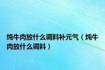 炖牛肉放什么调料补元气（炖牛肉放什么调料）