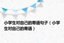 小学生对自己的寄语句子（小学生对自己的寄语）