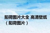 阳荷图片大全 高清壁纸（阳荷图片）