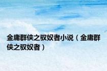 金庸群侠之驭奴者小说（金庸群侠之驭奴者）