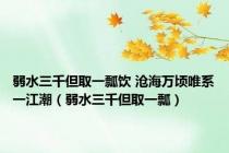 弱水三千但取一瓢饮 沧海万顷唯系一江潮（弱水三千但取一瓢）