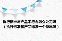 执行标准与产品不符会怎么处罚呀（执行标准和产品标准一个意思吗）
