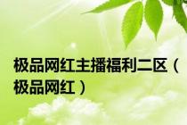 极品网红主播福利二区（极品网红）