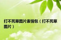 打不死草图片表情包（打不死草图片）