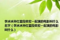 李冰冰孙红雷段奕宏一起演的电影叫什么名字（李冰冰孙红雷段奕宏一起演的电影叫什么）