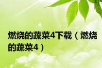 燃烧的蔬菜4下载（燃烧的蔬菜4）