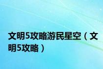 文明5攻略游民星空（文明5攻略）